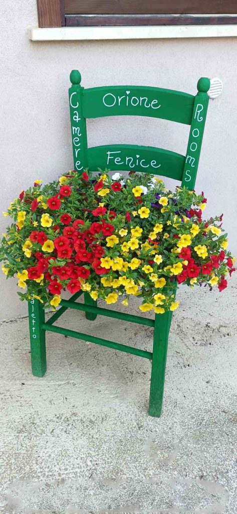 fenice (18)